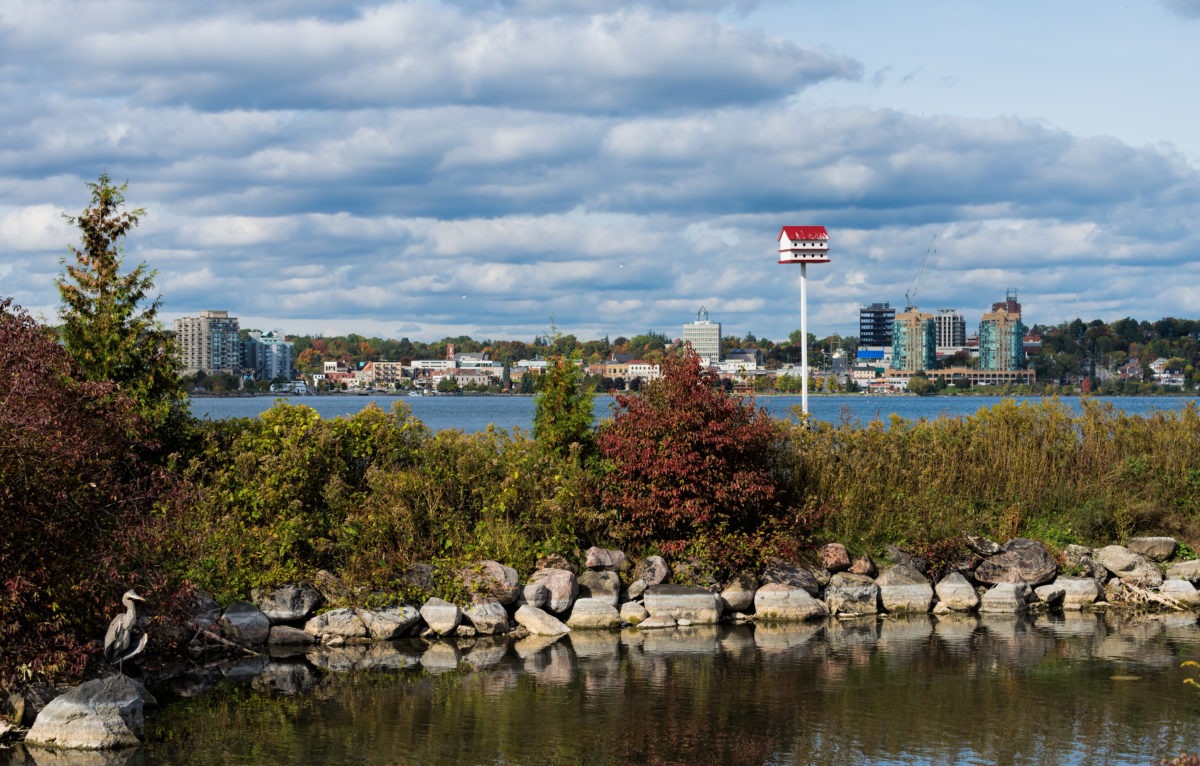 A Guide to Staying Safe in Barrie Preszler Injury Lawyers