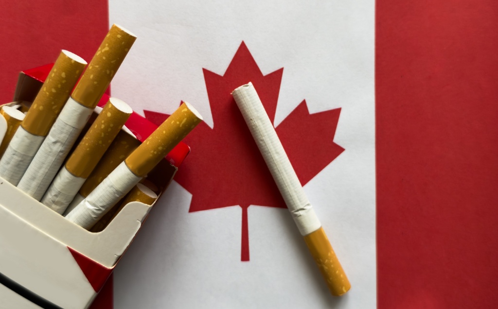 Smoking in Canada The Territories That Have the Most and Least Smokers and the Effect This Has on the Public Healthcare System