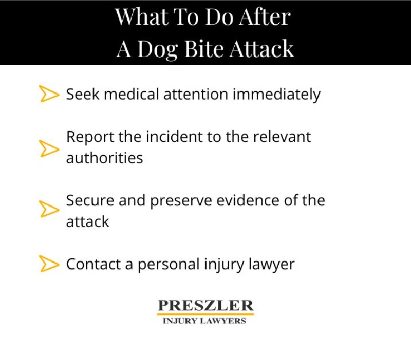 Bullet point list of things to do following a dog bite attack